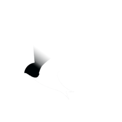 Swallow Créations